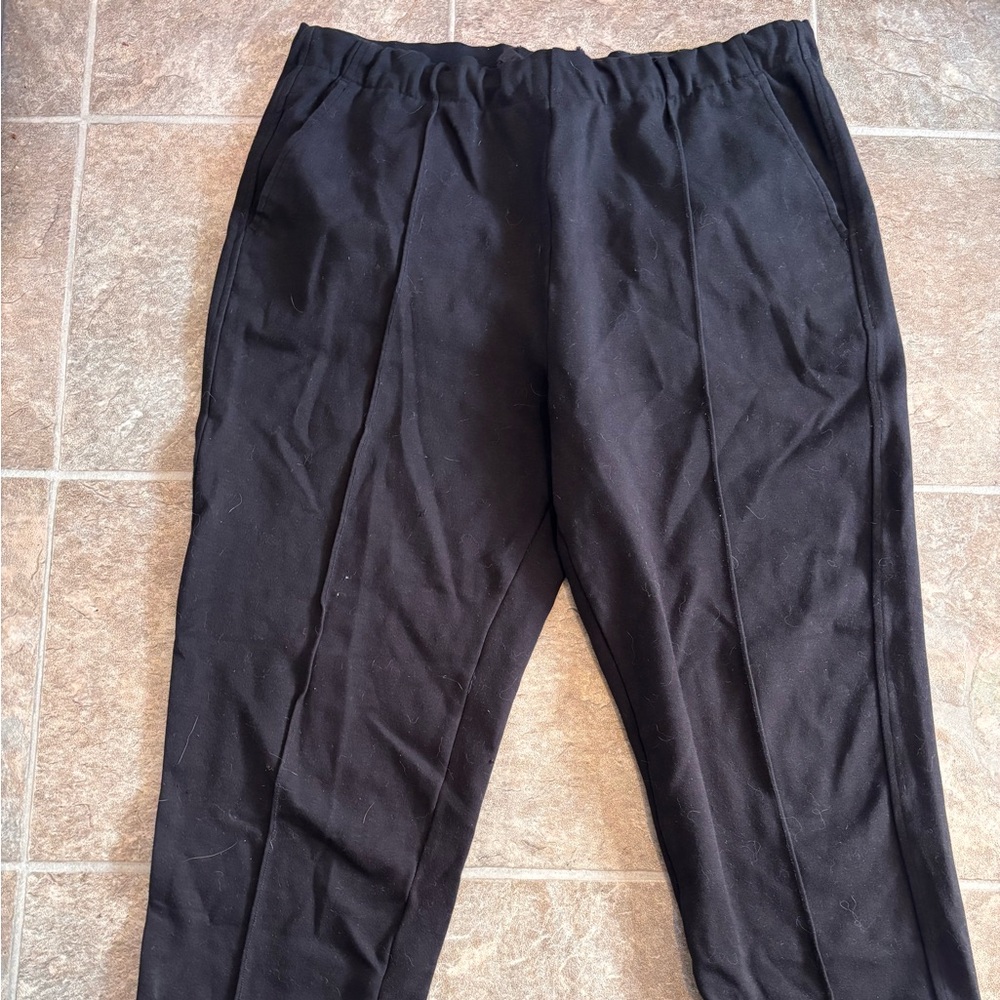 Everlane Dream pant